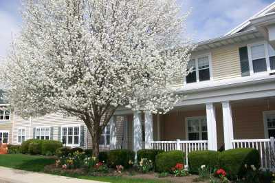 Photo of Brentland Woods, Episcopal SeniorLife Communities