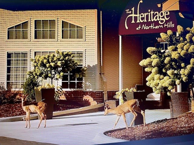 Photo of The Heritage at Northern Hills