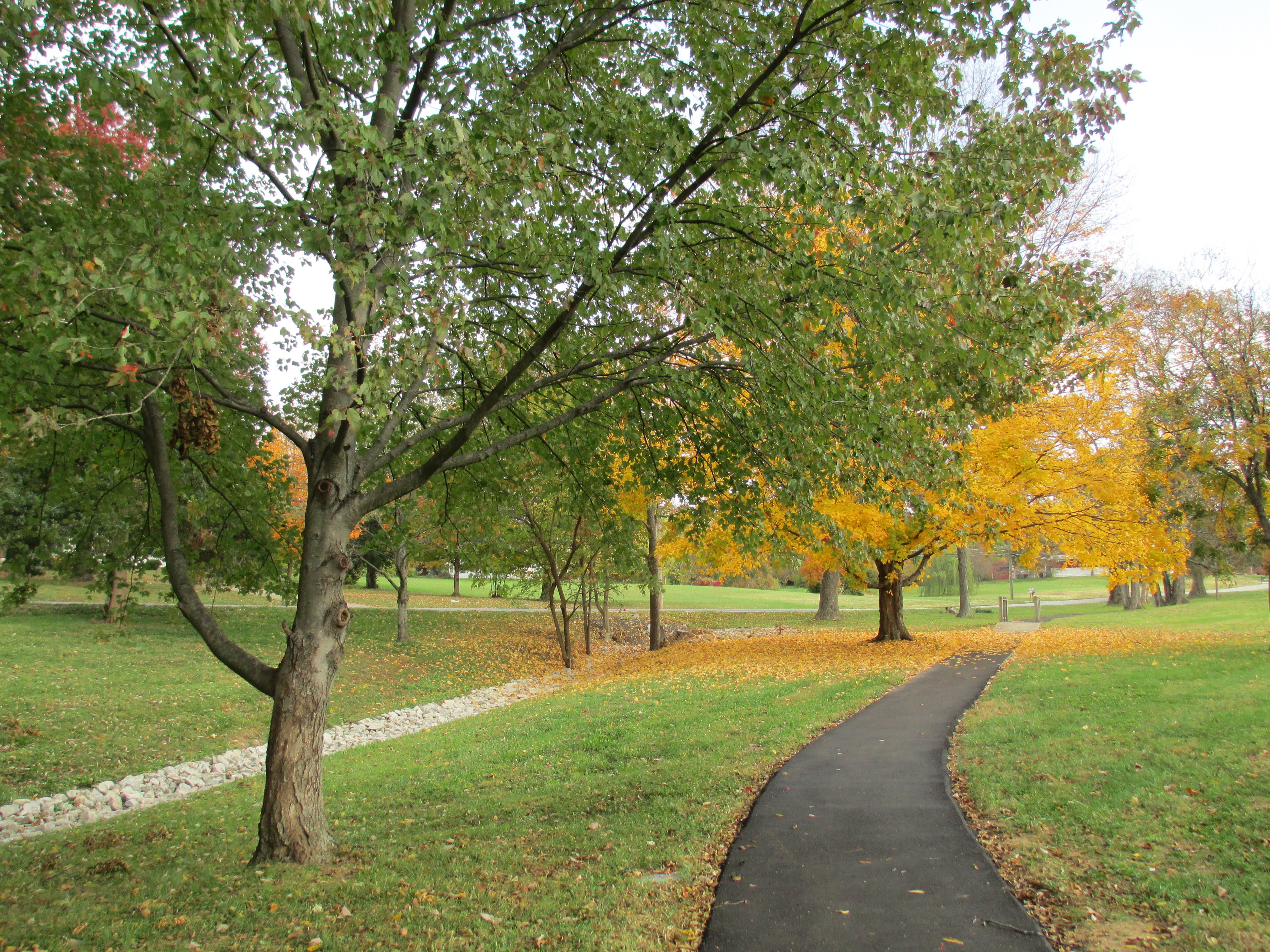 Wesley Manor Retirement Community 