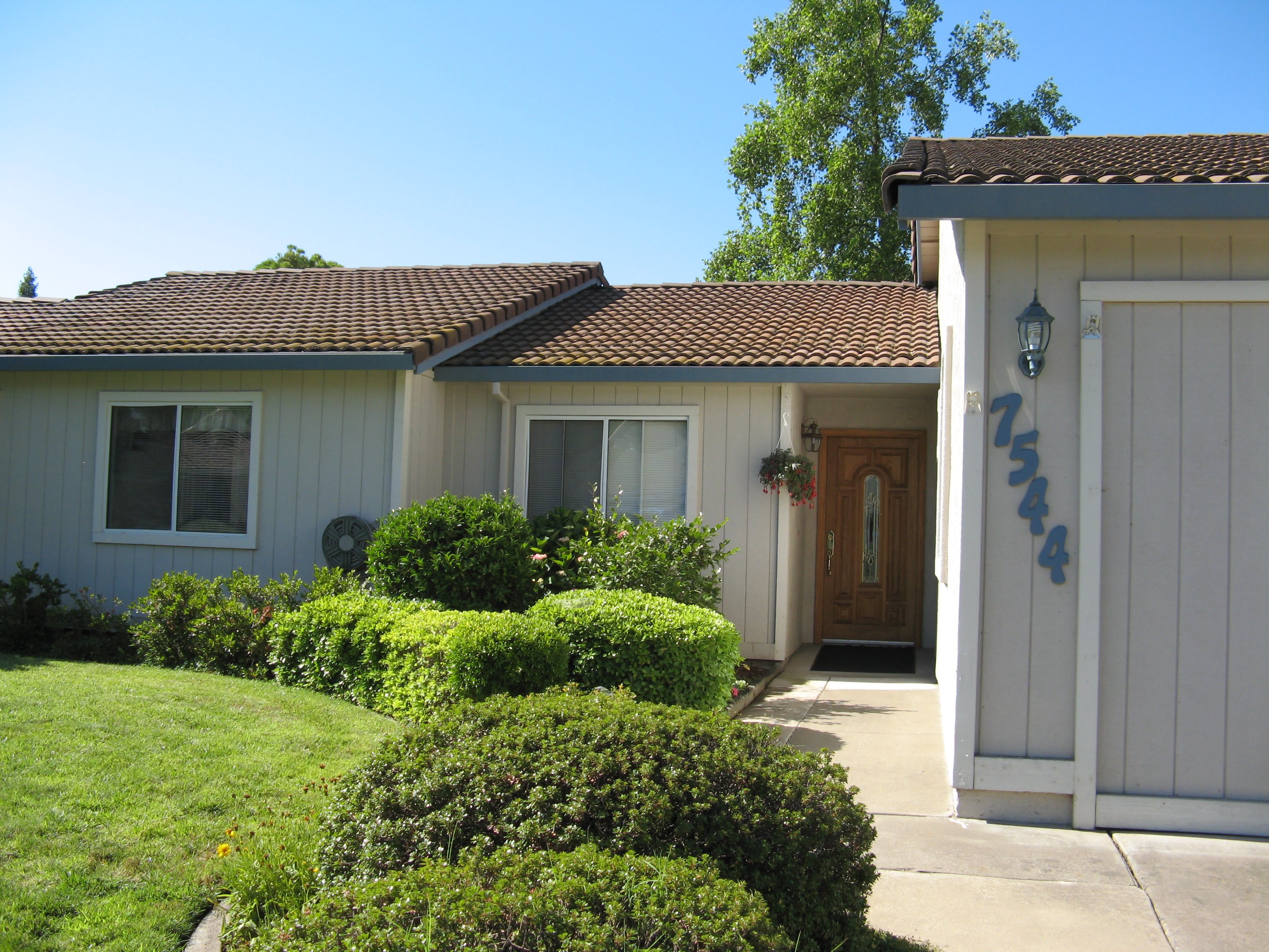 Photo of Tender Loving Care I