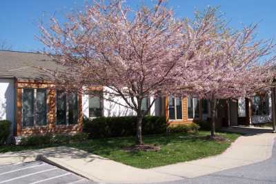 Photo of Winter Growth - Maryland Memories