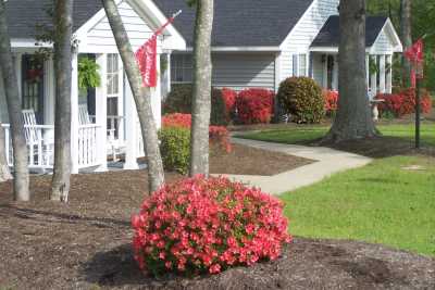 Photo of Bayberry Retirement Inn