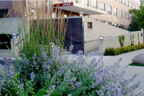 Buckingham Pavilion Nursing 