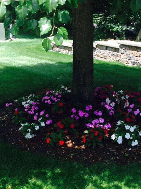 Photo of Pine Hill Retirement Home