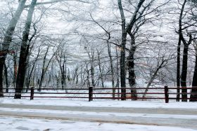 Photo of Bethesda Ranch AFH