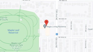 Aegis Ravenna in google map