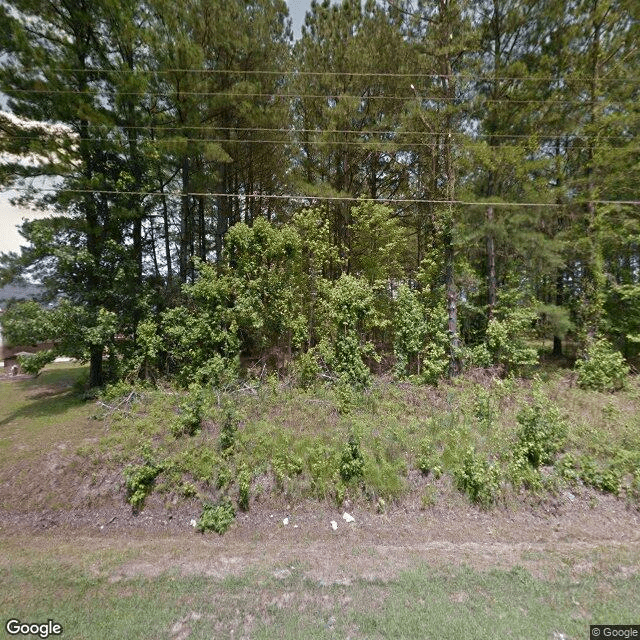 street view of Country Living Assisted Living Facility