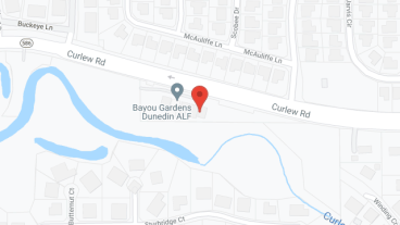 Bayou Gardens Dunedin LLC in google map