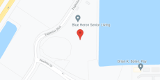 Blue Heron in google map