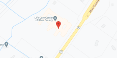 The Bridge at Rhea County in google map