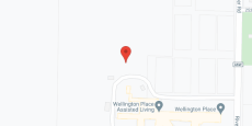 WELLINGTON PLACE in google map