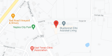Bluebonnet Elite Assisted Living in google map