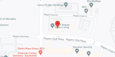 The Arbors at South Breeze in google map