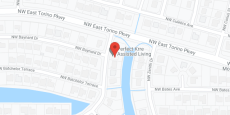 Perfect Kare ALF in google map