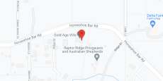 Gold Age Villa in google map