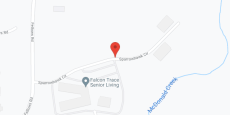 Falcon Trace in google map