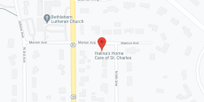 Halina's Care Home in google map
