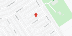 Urban Palms in google map
