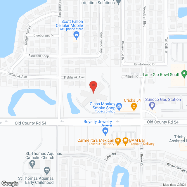 Consulate Health Care of New Port Richey in google map