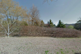 Photo of Abby's Home for the Elderly