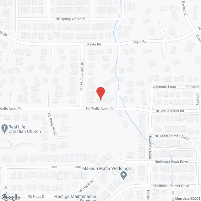 Elma’s Elder Care in google map