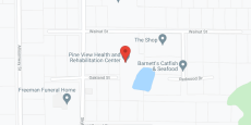 Pineview Hsth in google map