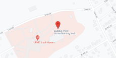 Susque-View Home Inc in google map