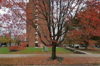 Photo of Linden Terrace Apartments