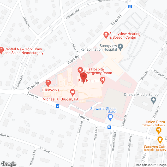 Ellis Center For Long Term in google map