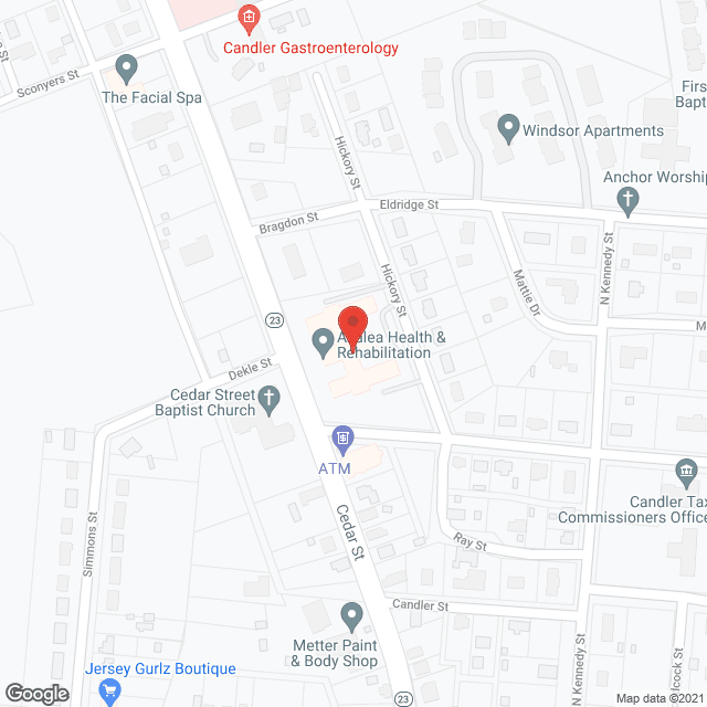 Metter Nursing Home in google map