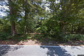Mahogany Tree Inc 