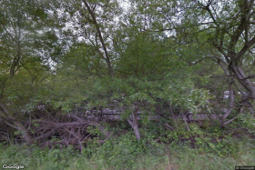 Fern Lodge Inc 