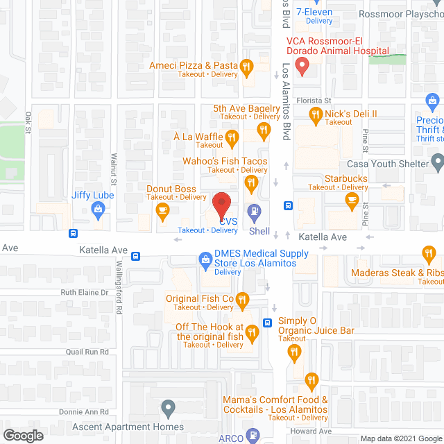 Companion Care Svc in google map