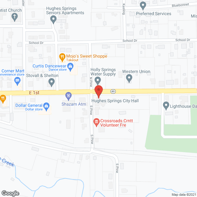 Integrated Health Svc in google map