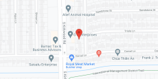The Pines at Bellaire in google map