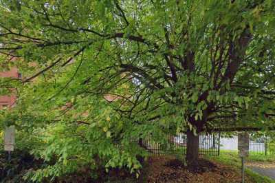 Photo of Symphony Circle Active Living