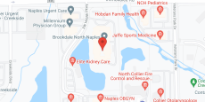 Brookdale North Naples in google map
