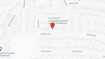 Silver Leaf Assisted Living at Meadow Road in google map