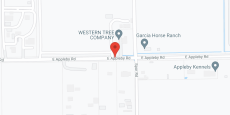 Castle Canyon Assisted Living III in google map