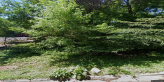 street view of My Retirement House - Live Oak