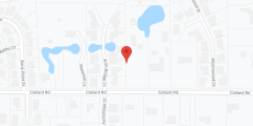 Lynridge of Arlington in google map