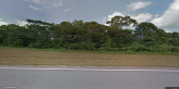 street view of The Arbor at Opelika
