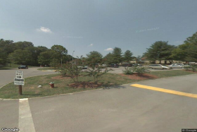 Photo of The Pines