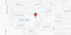 Azalea Blooms in google map