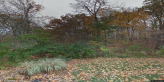 street view of Hibernia