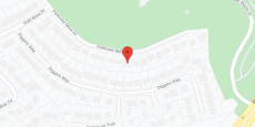 Driving Mrs. Daisy in google map