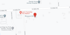 Blossom Hill #1 in google map