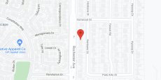 Summer Dream in google map