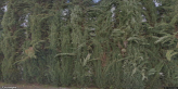 street view of Palm Garden Home Care