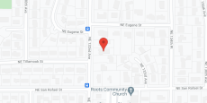Ana Brodeanu in google map